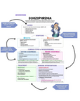 The Complete Nursing Study Kit (2025 Edition)