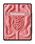 Endocrine Study Kit