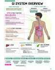 Gastrointestinal Study Kit