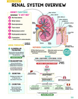 Renal & Urinary Study Kit
