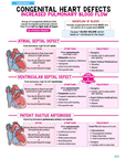 Pediatrics Study Kit