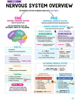 Neuro Study Kit