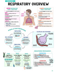 Respiratory Study Kit