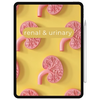 Renal & Urinary Notes
