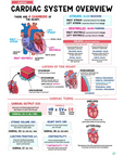 Cardiac Study Kit