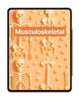 Musculoskeletal Study Kit