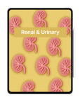 Renal & Urinary Study Kit
